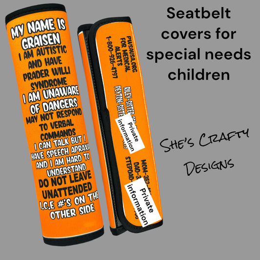 Customized Medial Seatbelt Covers.